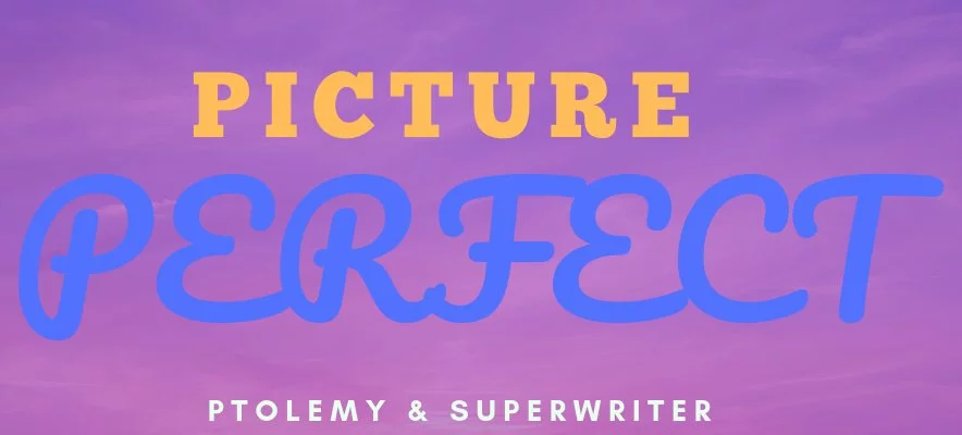 Picture Perfect cover