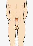 Forest Fairytales Adult Game Screenshots (2)