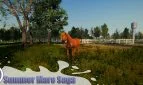Summer Mare Saga