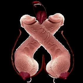 Sluts of Battle cover