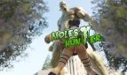 Molest Hunter