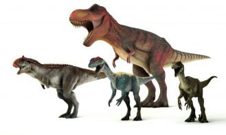 Feral Island Adult Game Screenshots (4)