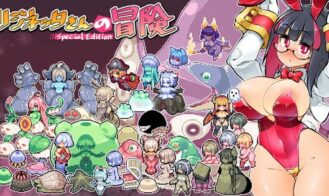 Rignetta's Adventure cover