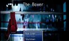 The Boxer