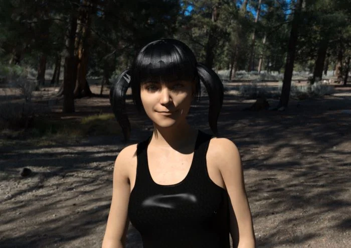 The Misery of the Newcomer cover