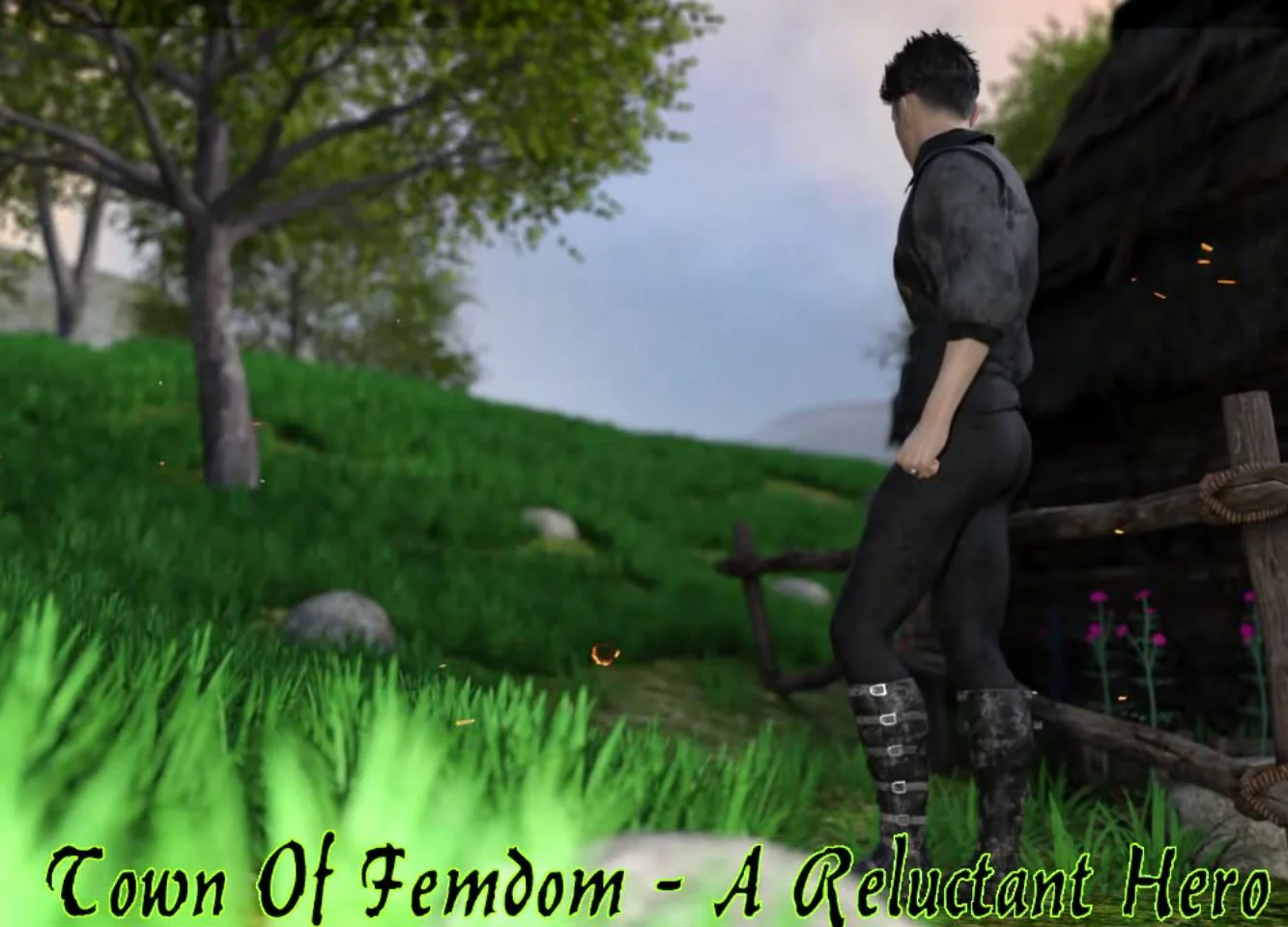 Town of Femdom A Reluctant Hero cover