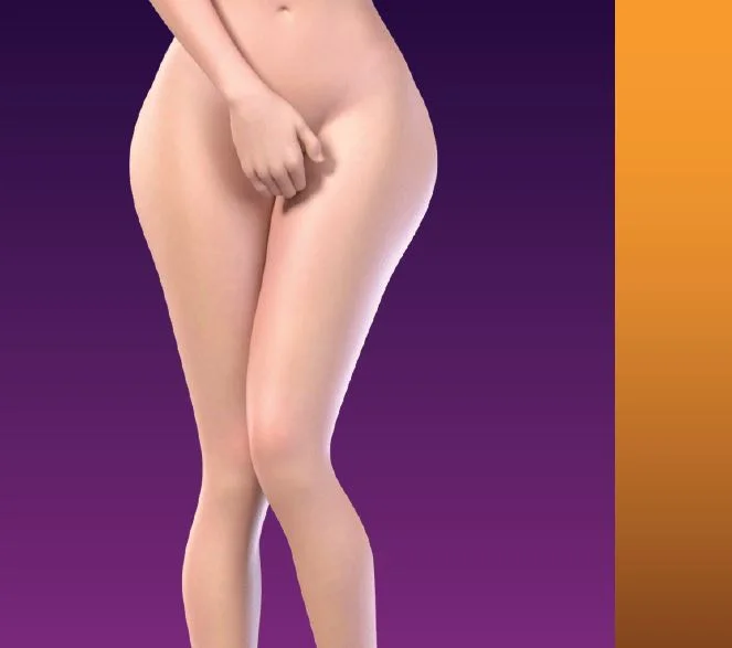 We are the Beach Girls cover