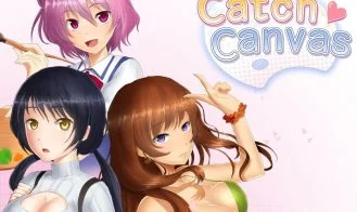 Catch Canvas cover