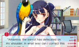 Period Adult Game Screenshots (3)