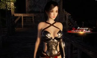 Princess And Blade cover