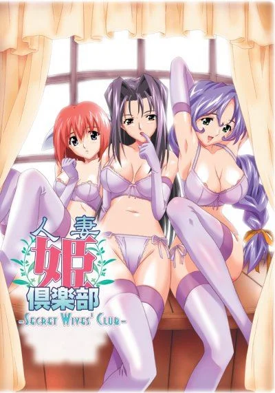 Secret Wives Club cover