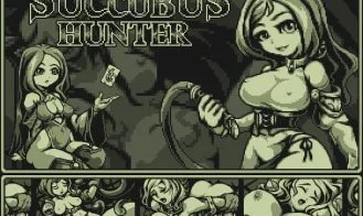 Succubus Hunter cover
