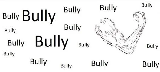 I am a bully cover