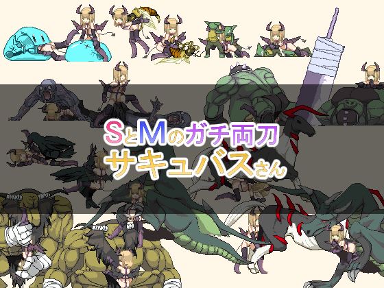 Sadistic / Masochistic BiPersonality Succubus cover