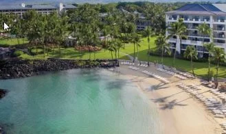 The Breeding Puzzle cover