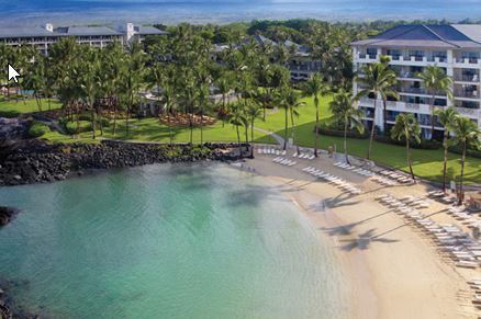 The Breeding Puzzle cover