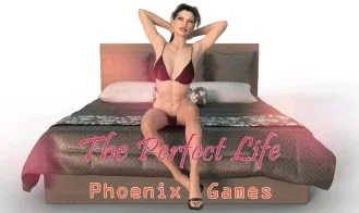 The Perfect Life cover