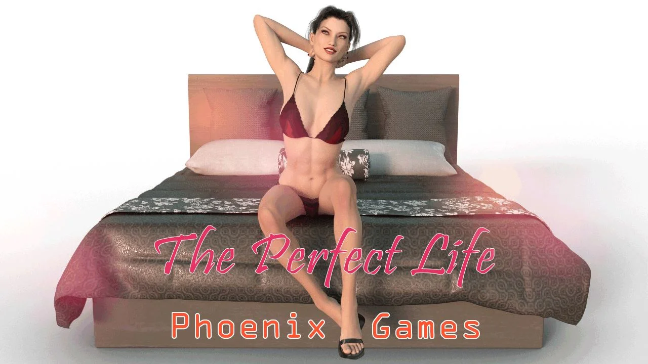 The Perfect Life cover