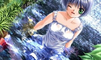 Air Standard Edition Adult Game Screenshot (2)