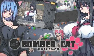 Bomber Cat cover