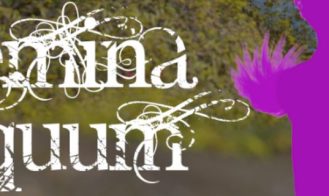 Femina Equum porn xxx game download cover