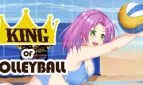 King of Volleyball
