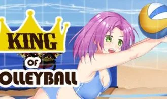 King of Volleyball cover