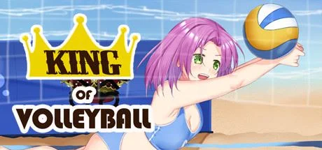 King of Volleyball cover