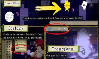 Kunoichi Tsubaki Adult Game Screenshot (5)