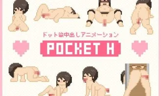 Pocket H cover