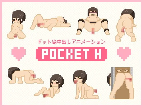 Pocket H cover
