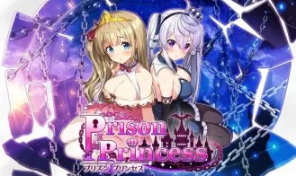 Prison Princess cover