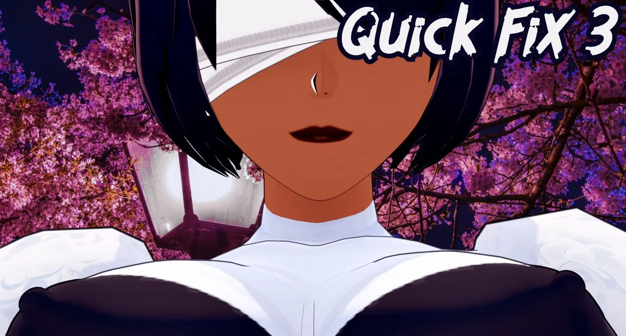 Quick-fix 3 cover