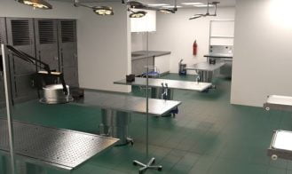 The Coroner Saga Adult Game Screenshot (2)