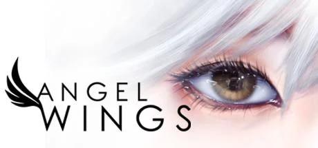 Angel Wings cover