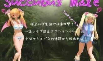 Succubus Maze cover
