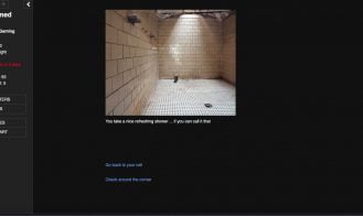 Reformed Adult Game Screenshort (1)