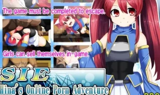SIE-Hina's Online Porn Adventure cover
