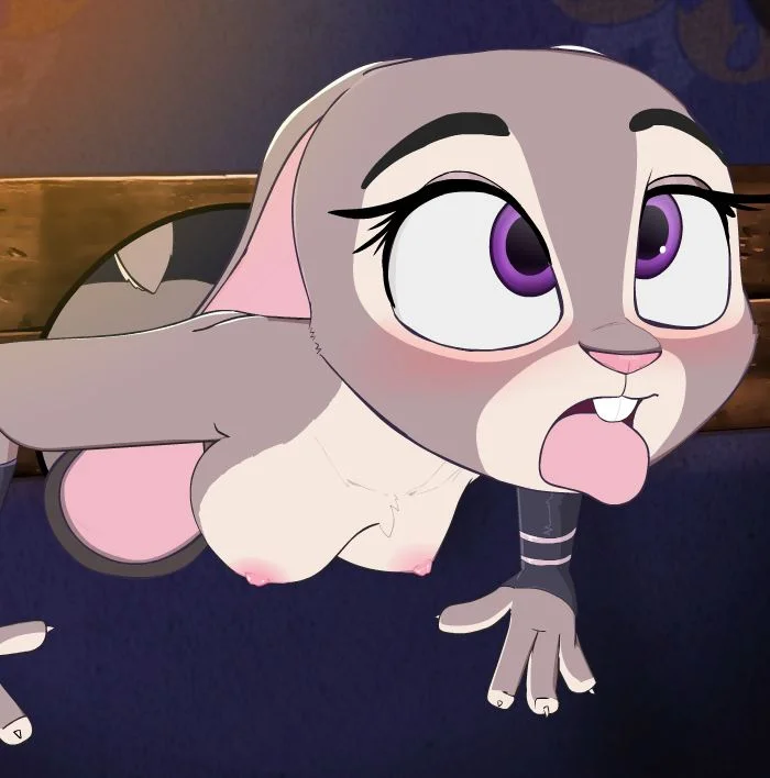 Bunnycop: On-Duty cover