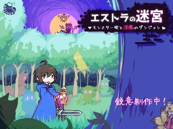 Labyrinth of Estras cover