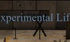 Experimental Life