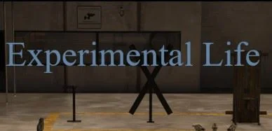 Experimental Life cover