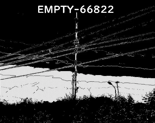 EMPTY-66822 cover
