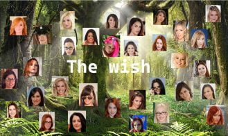 The Wish cover