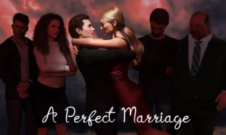 A Perfect Marriage cover