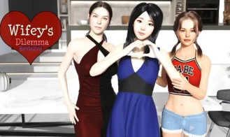 Wifey's Dilemma Revisited cover