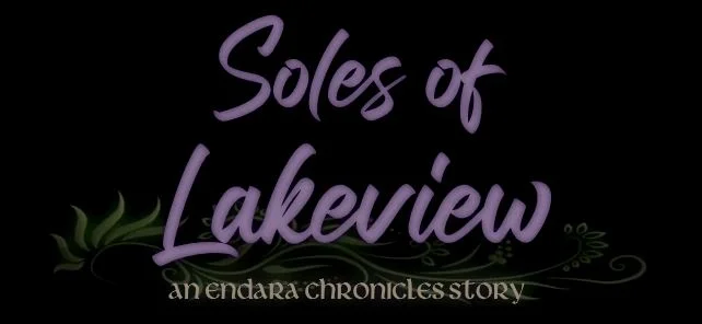 Soles of Lakeview cover