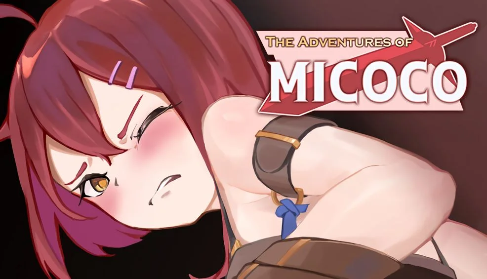 The Adventures of MICOCO cover