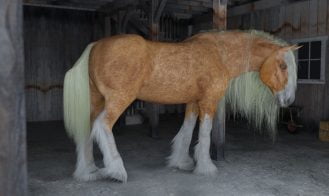 Cara in Creekmaw Adult Game Screenshots (4)