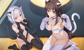 NinNinDays 2 Adult Game Screenshot (8)